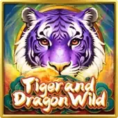 Tiger and Dragon Wild icon